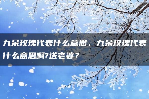 九朵玫瑰代表什么意思，九朵玫瑰代表什么意思啊?送老婆？