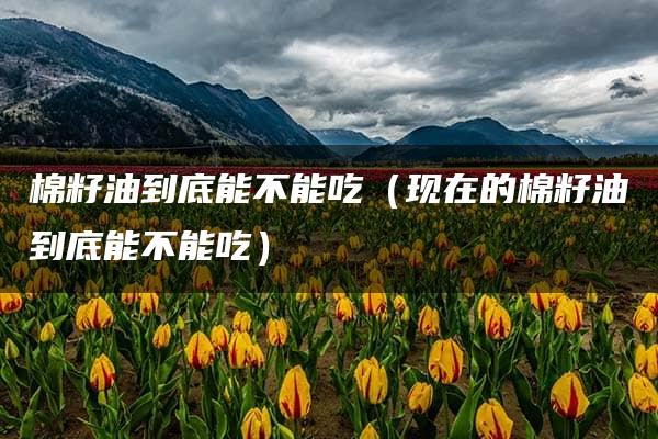 棉籽油到底能不能吃（现在的棉籽油到底能不能吃）