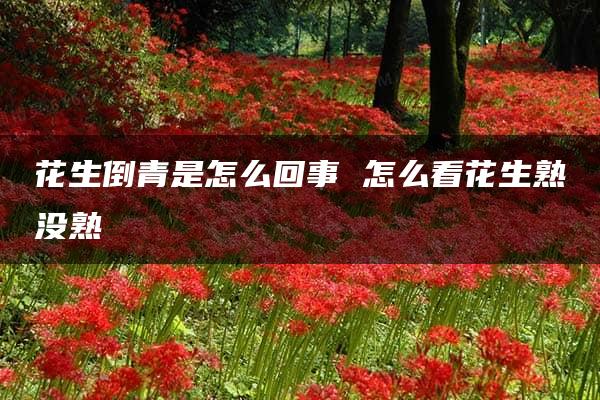 花生倒青是怎么回事 怎么看花生熟没熟