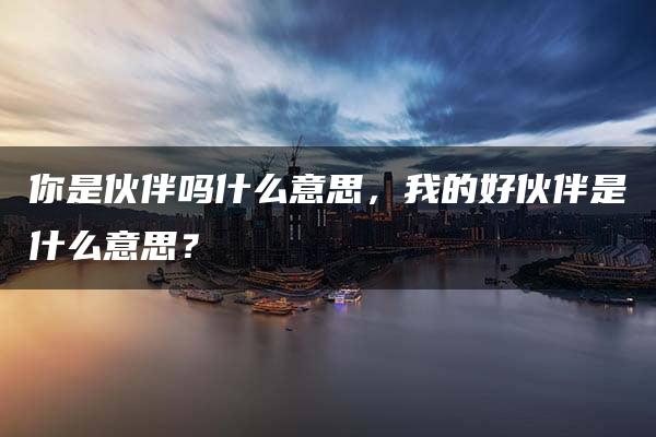 你是伙伴吗什么意思，我的好伙伴是什么意思？