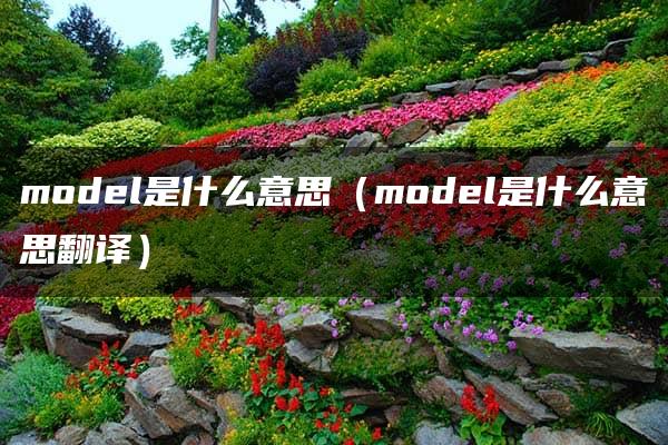 model是什么意思（model是什么意思翻译）