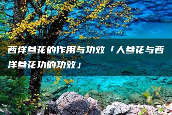 西洋参花的作用与功效「人参花与西洋参花功的功效」