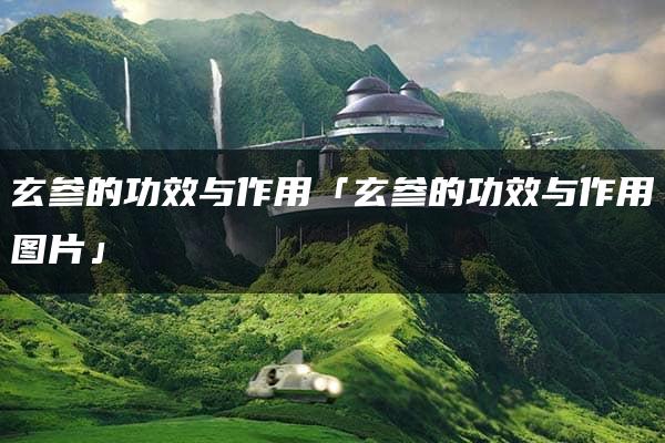 玄参的功效与作用「玄参的功效与作用图片」