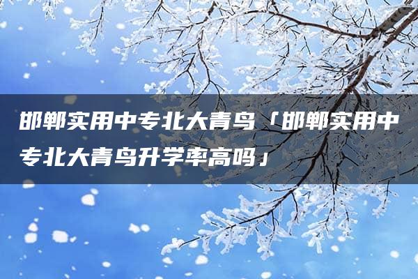 邯郸实用中专北大青鸟「邯郸实用中专北大青鸟升学率高吗」