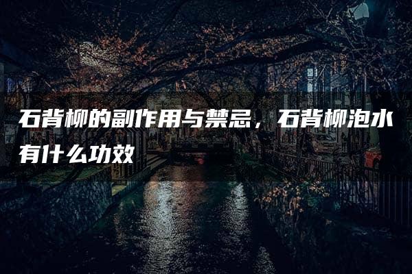 石背柳的副作用与禁忌，石背柳泡水有什么功效