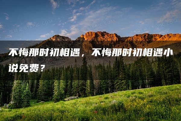 不悔那时初相遇，不悔那时初相遇小说免费？