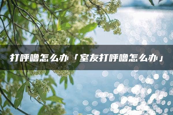 打呼噜怎么办「室友打呼噜怎么办」