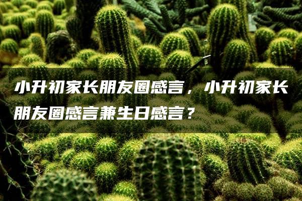 小升初家长朋友圈感言，小升初家长朋友圈感言兼生日感言？