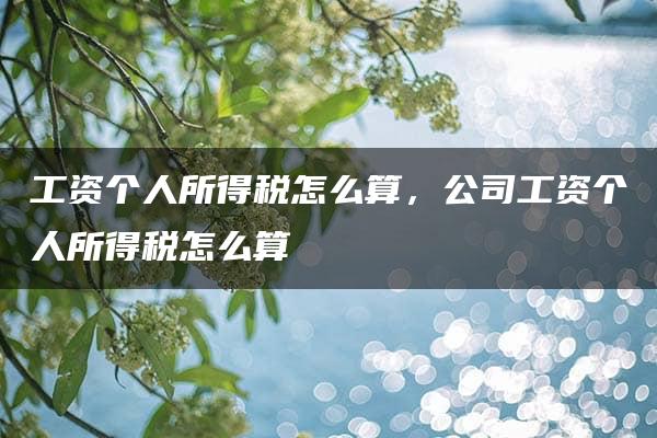 工资个人所得税怎么算，公司工资个人所得税怎么算