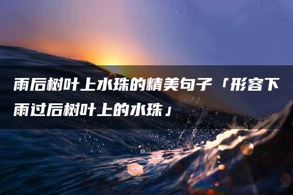 雨后树叶上水珠的精美句子「形容下雨过后树叶上的水珠」