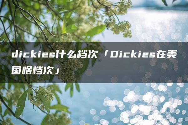 dickies什么档次「Dickies在美国啥档次」