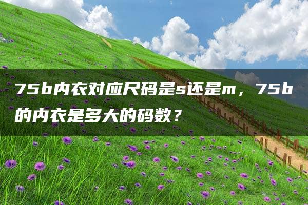 75b内衣对应尺码是s还是m，75b的内衣是多大的码数？