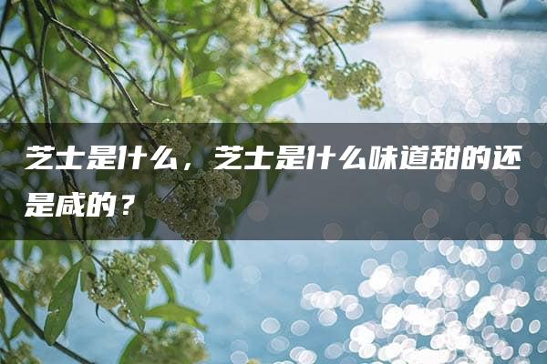 芝士是什么，芝士是什么味道甜的还是咸的？