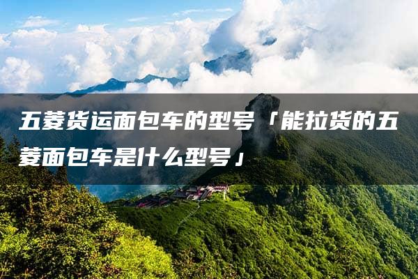 五菱货运面包车的型号「能拉货的五菱面包车是什么型号」