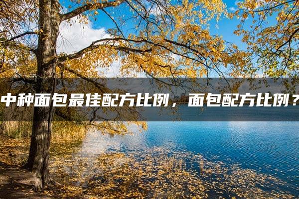 中种面包最佳配方比例，面包配方比例？