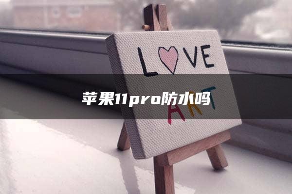 苹果11pro防水吗