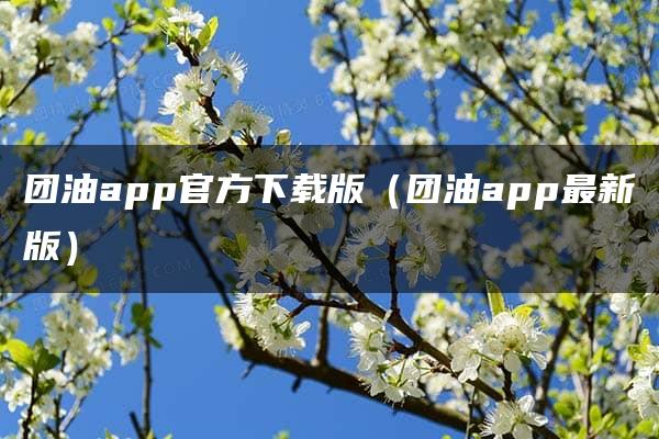 团油app官方下载版（团油app最新版）