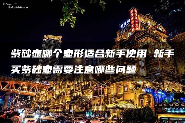 紫砂壶哪个壶形适合新手使用 新手买紫砂壶需要注意哪些问题