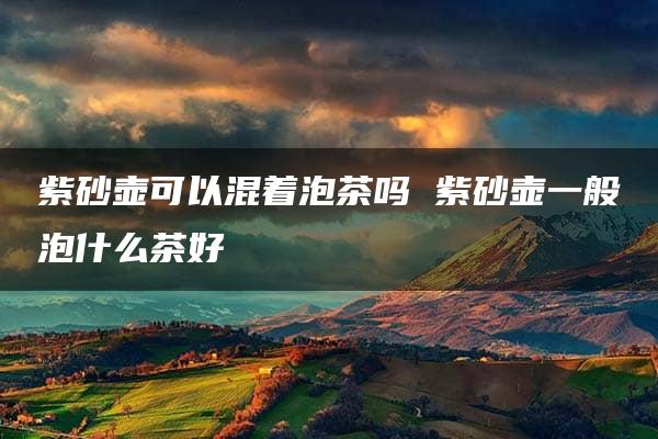 紫砂壶可以混着泡茶吗 紫砂壶一般泡什么茶好