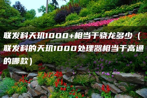 联发科天玑1000+相当于骁龙多少（联发科的天玑1000处理器相当于高通的哪款）