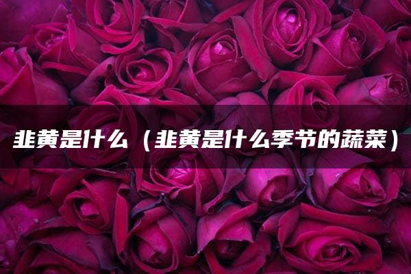 韭黄是什么（韭黄是什么季节的蔬菜）