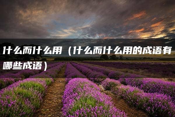 什么而什么用（什么而什么用的成语有哪些成语）