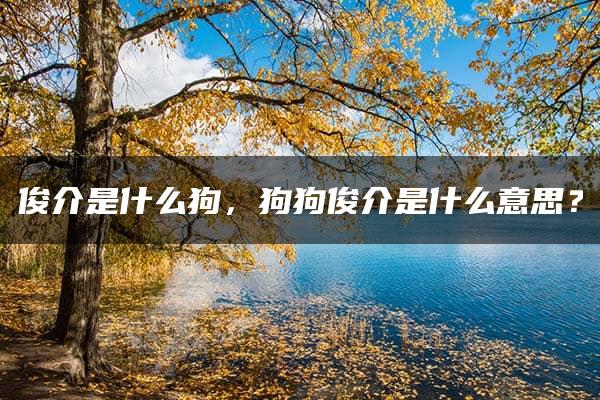 俊介是什么狗，狗狗俊介是什么意思？