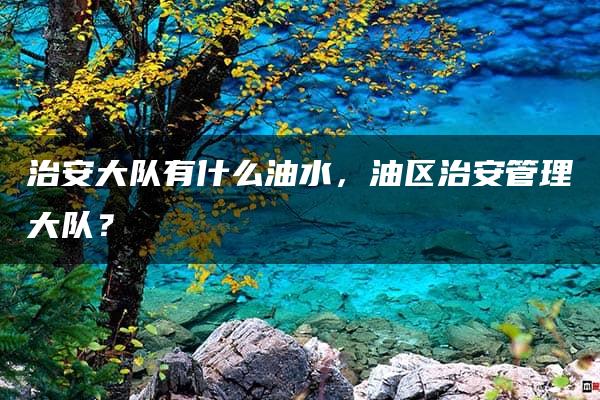 治安大队有什么油水，油区治安管理大队？