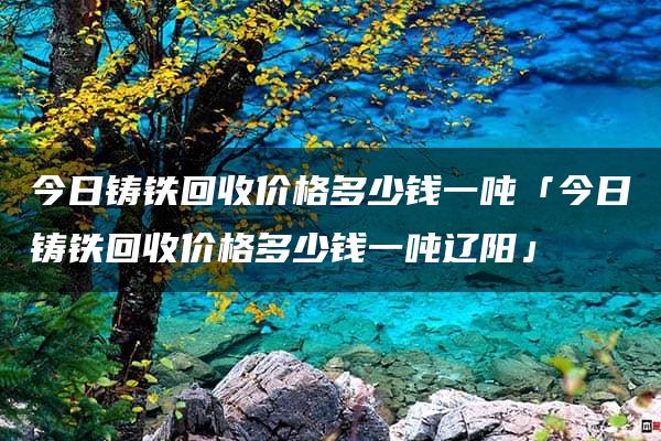 今日铸铁回收价格多少钱一吨「今日铸铁回收价格多少钱一吨辽阳」