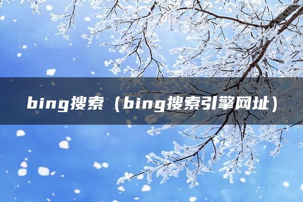 bing搜索（bing搜索引擎网址）