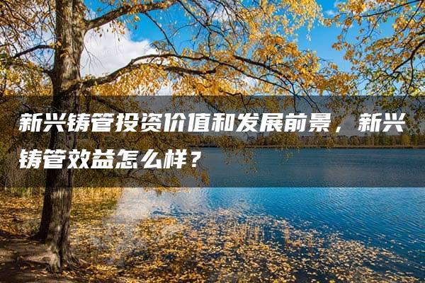 新兴铸管投资价值和发展前景，新兴铸管效益怎么样？