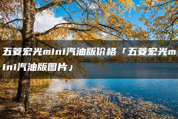 五菱宏光mini汽油版价格「五菱宏光mini汽油版图片」