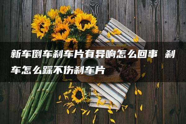 新车倒车刹车片有异响怎么回事 刹车怎么踩不伤刹车片