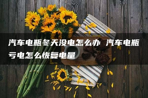 汽车电瓶冬天没电怎么办 汽车电瓶亏电怎么恢复电量