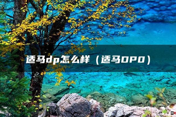 适马dp怎么样（适马DP0）