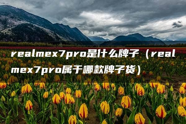 realmex7pro是什么牌子（realmex7pro属于哪款牌子货）