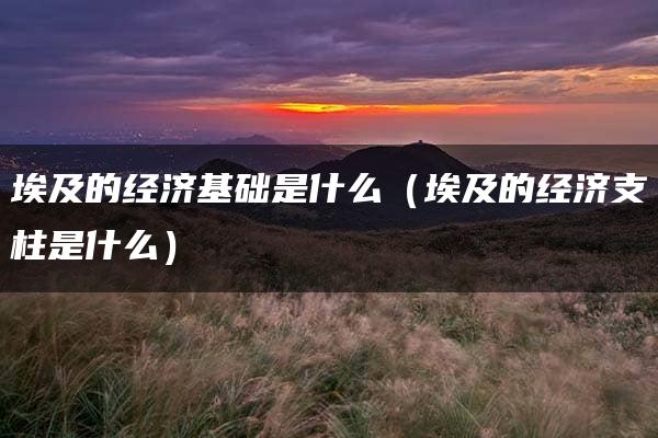 埃及的经济基础是什么（埃及的经济支柱是什么）