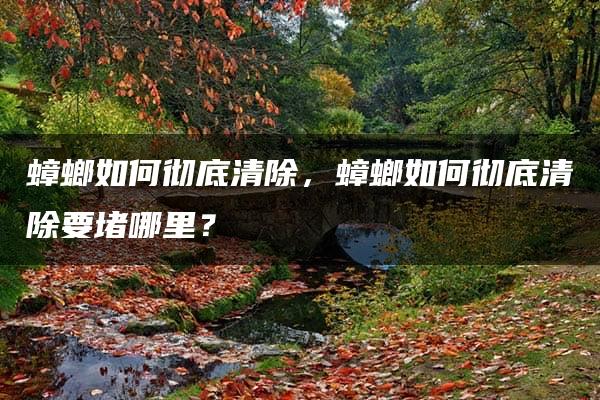 蟑螂如何彻底清除，蟑螂如何彻底清除要堵哪里？