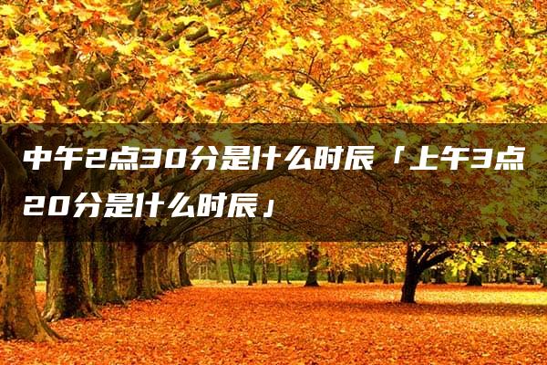 中午2点30分是什么时辰「上午3点20分是什么时辰」