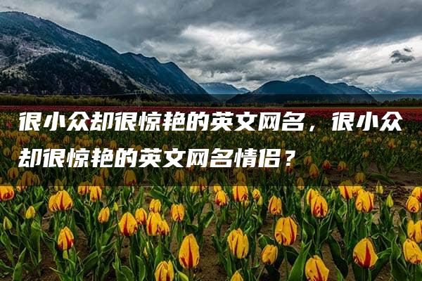 很小众却很惊艳的英文网名，很小众却很惊艳的英文网名情侣？