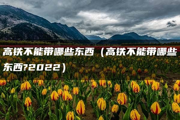 高铁不能带哪些东西（高铁不能带哪些东西?2022）