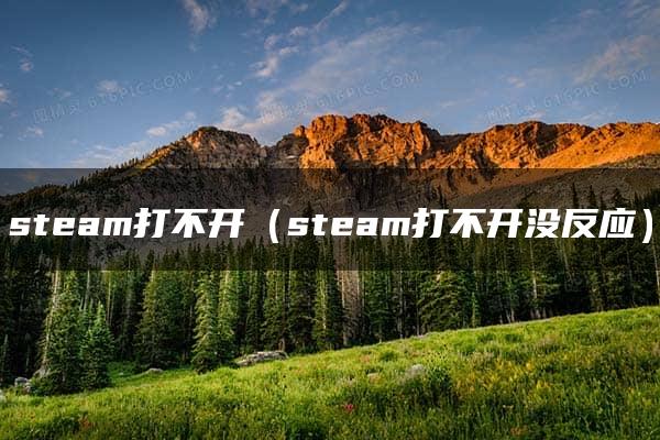 steam打不开（steam打不开没反应）