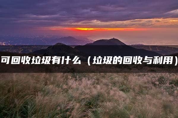 可回收垃圾有什么（垃圾的回收与利用）