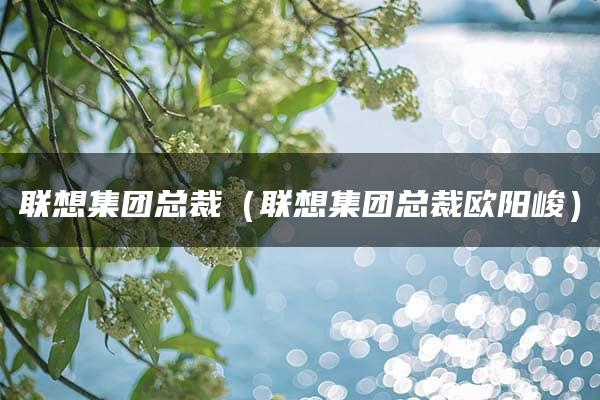 联想集团总裁（联想集团总裁欧阳峻）