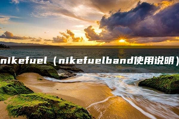 nikefuel（nikefuelband使用说明）