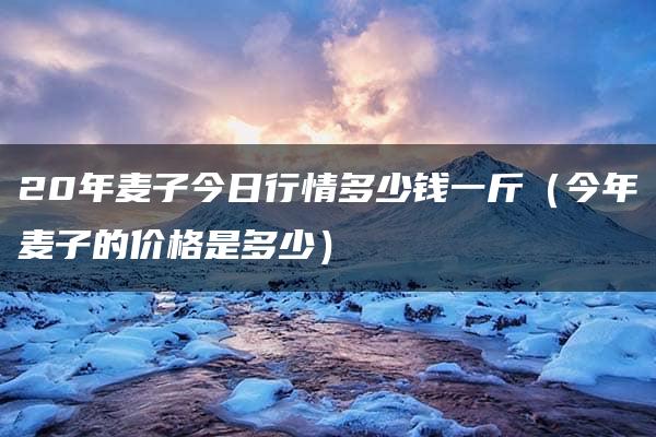 20年麦子今日行情多少钱一斤（今年麦子的价格是多少）