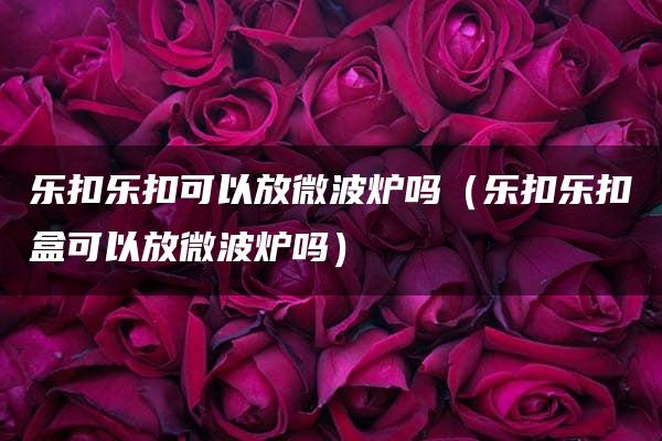 乐扣乐扣可以放微波炉吗（乐扣乐扣盒可以放微波炉吗）