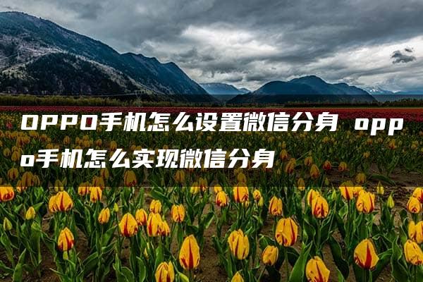 OPPO手机怎么设置微信分身 oppo手机怎么实现微信分身