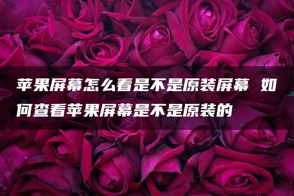 苹果屏幕怎么看是不是原装屏幕 如何查看苹果屏幕是不是原装的