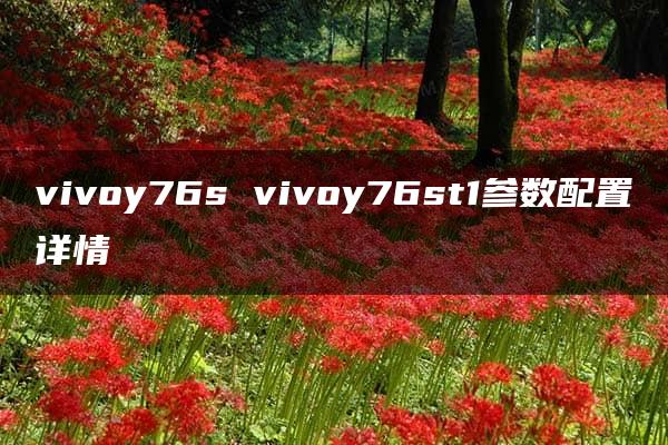 vivoy76s vivoy76st1参数配置详情